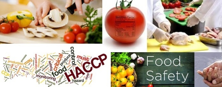 HACCP: Osiguranje Bezbedne i Kvalitetne Proizvodnje Hrane